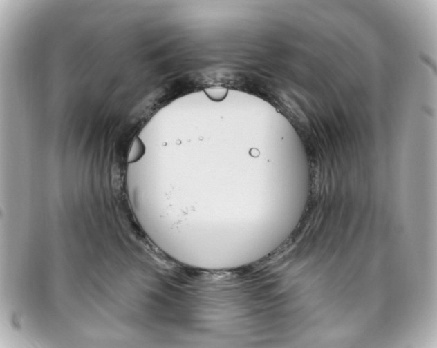 X0000096410569200801241028