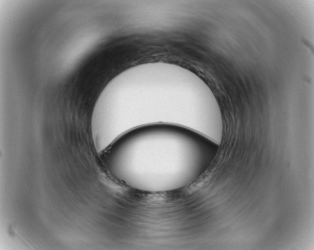 X0000096410574200801241028