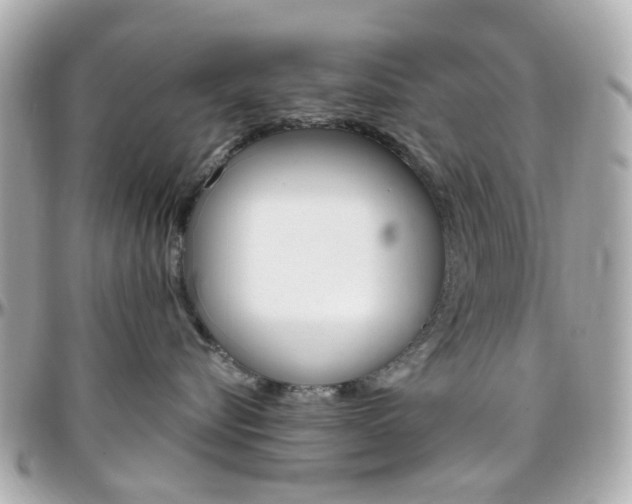 X0000096410576200801241028