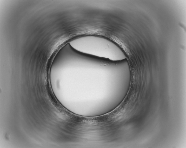 X0000096410582200801241027