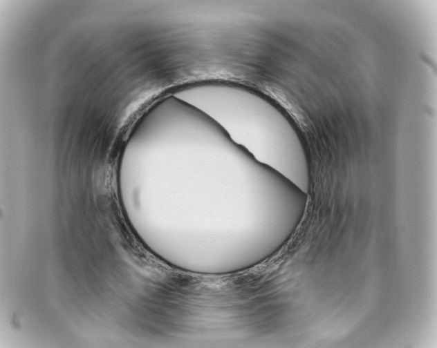 X0000096410583200801241027