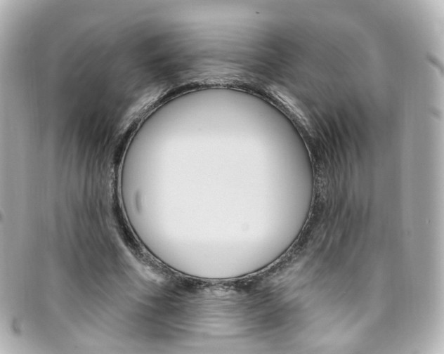 X0000096410586200801241027