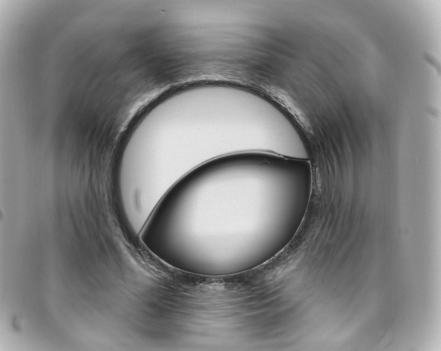X0000096410588200801241027