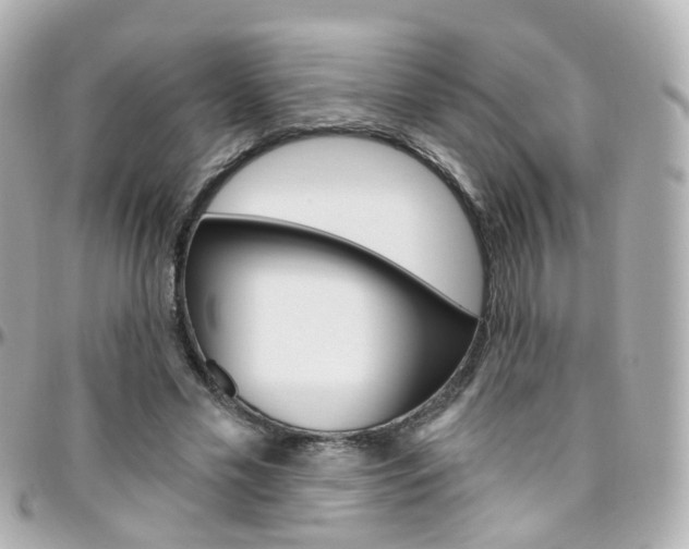 X0000096410589200801241027