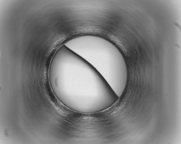 X0000096410590200801241027