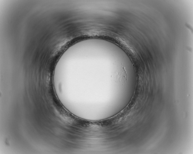X0000096410592200801241027