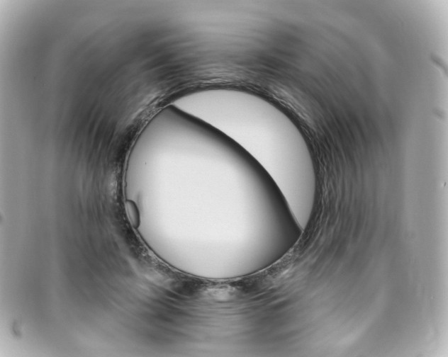 X0000096410595200801241027