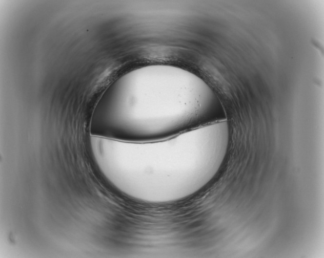 X0000096410596200801241027