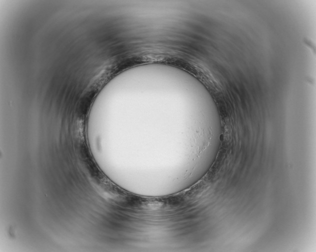 X0000096410598200801241027