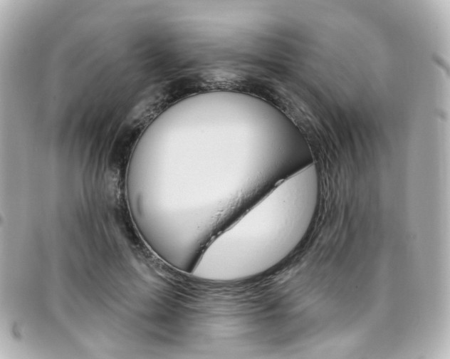X0000096410599200801241027