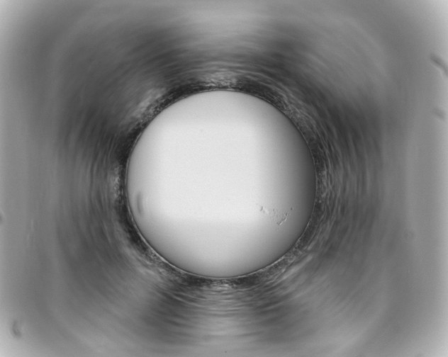 X0000096410600200801241027