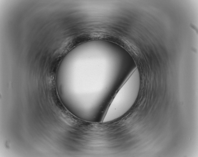 X0000096410601200801241027