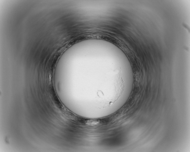 X0000096410602200801241027