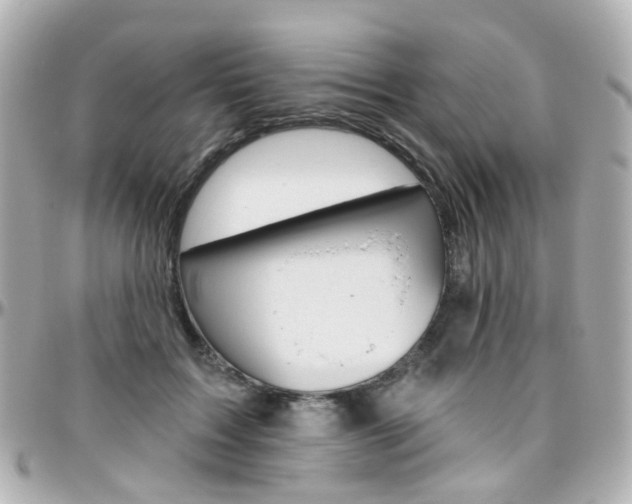 X0000096410603200801241027