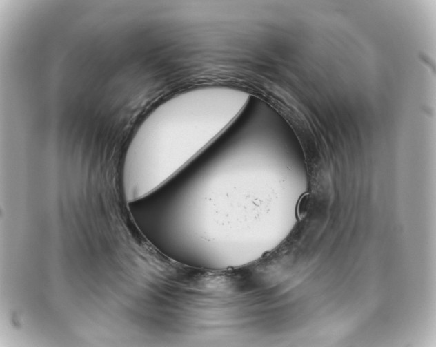 X0000096410604200801241027