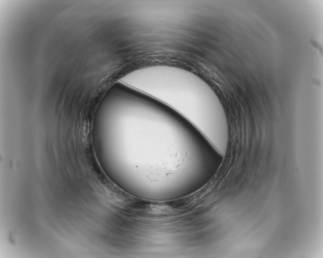 X0000096410605200801241027