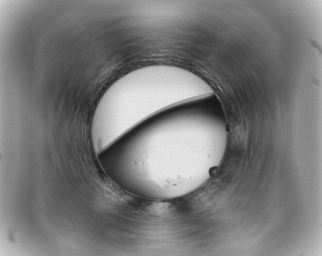 X0000096410609200801241027