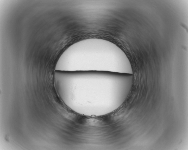 X0000096410614200801241027
