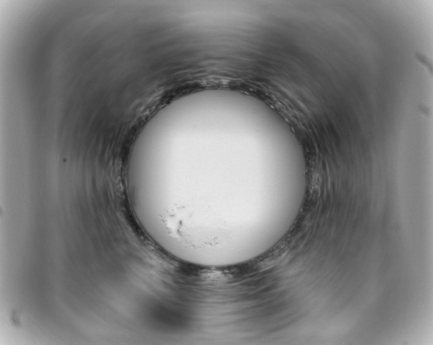 X0000096410616200801241027