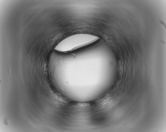X0000096410619200801241027