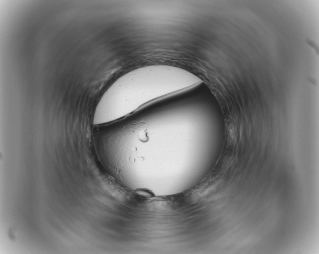 X0000096410620200801241027