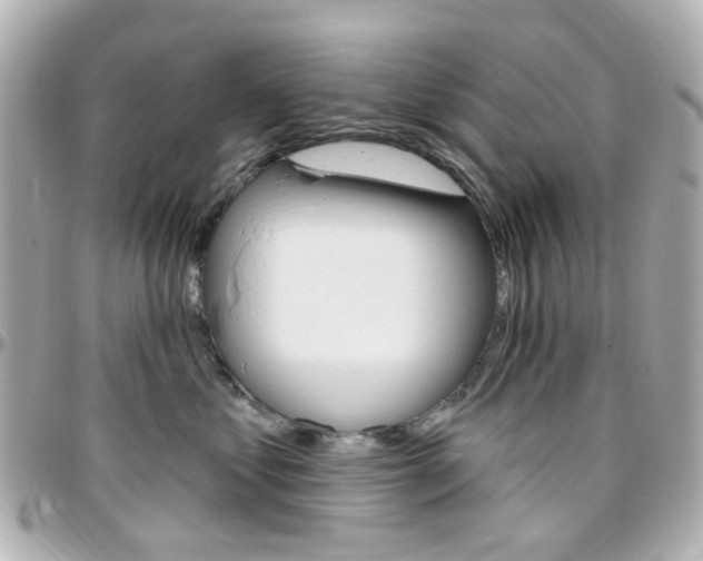X0000096410621200801241027