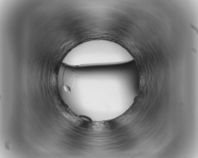 X0000096410623200801241027