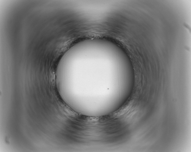 X0000096410624200801241027