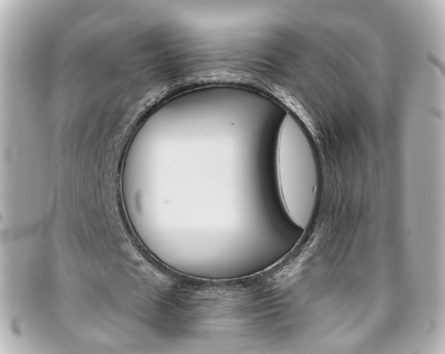 X0000096410625200801241026