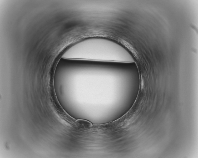 X0000096410627200801241026