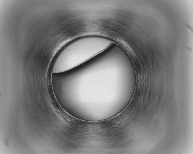 X0000096410628200801241026