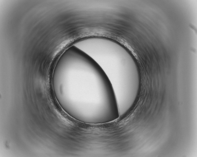 X0000096410629200801241026