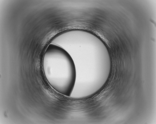 X0000096410631200801241026