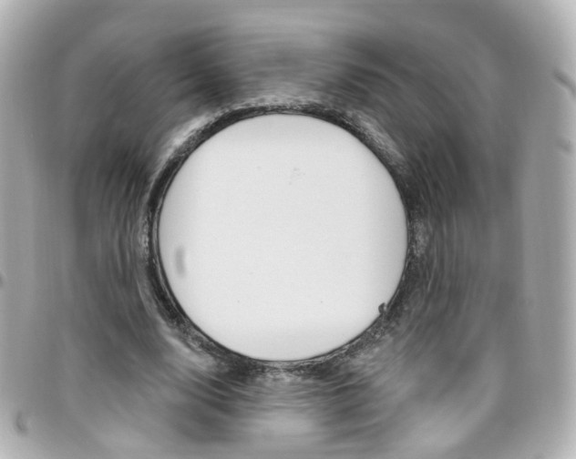 X0000096410632200801241026
