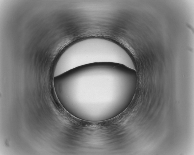 X0000096410635200801241026