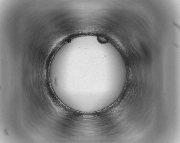 X0000096410636200801241026