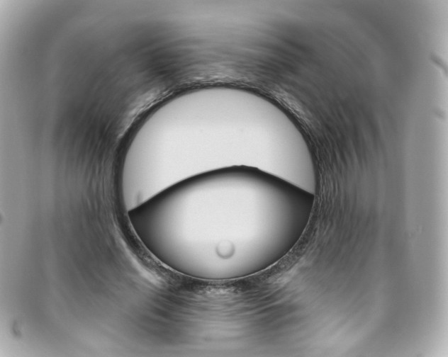 X0000096410638200801241026
