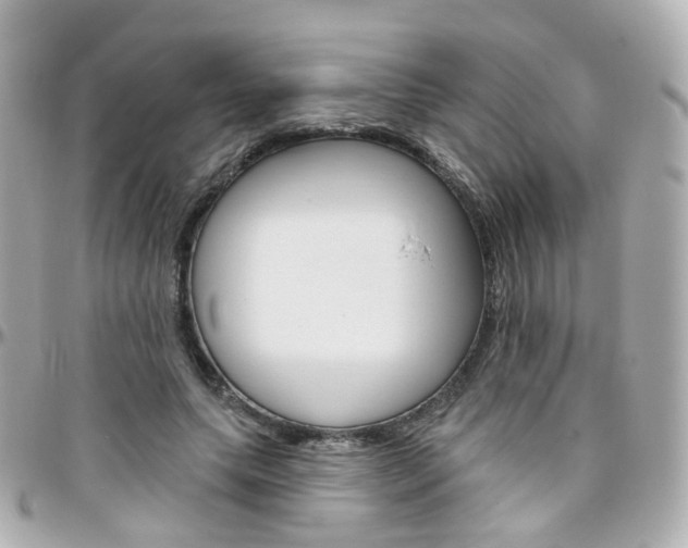 X0000096410639200801241026