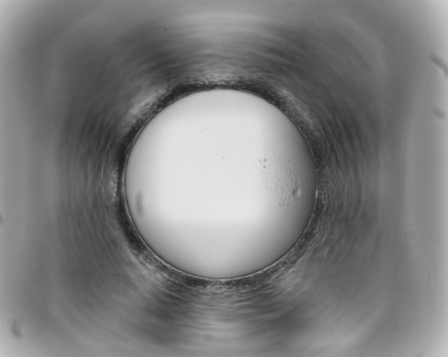 X0000096410640200801241026