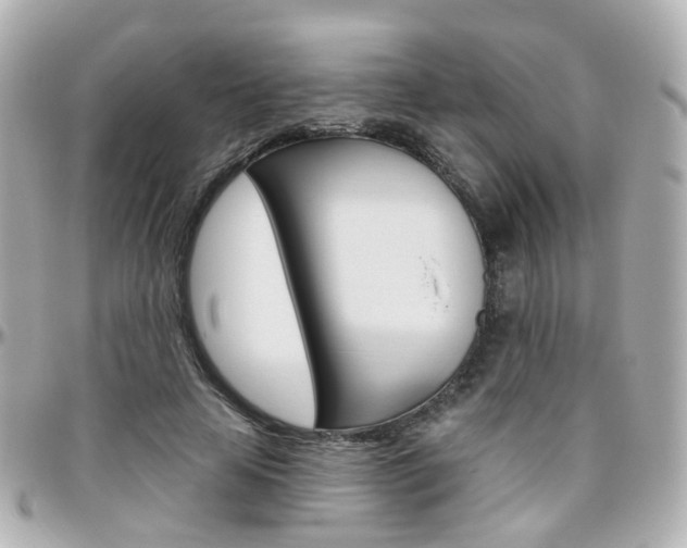 X0000096410641200801241026