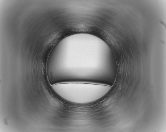 X0000096410643200801241026