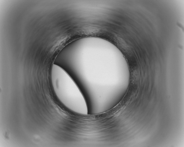 X0000096410644200801241026