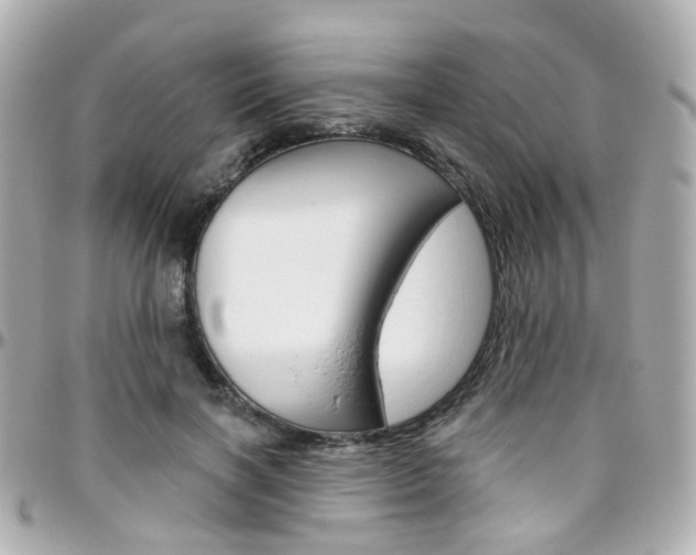 X0000096410646200801241026