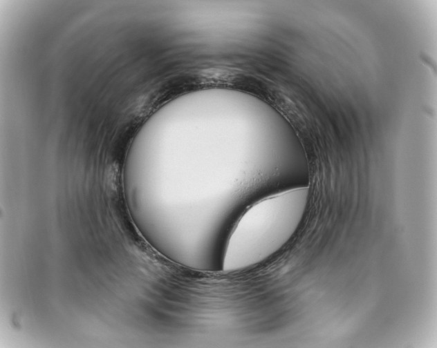 X0000096410649200801241026