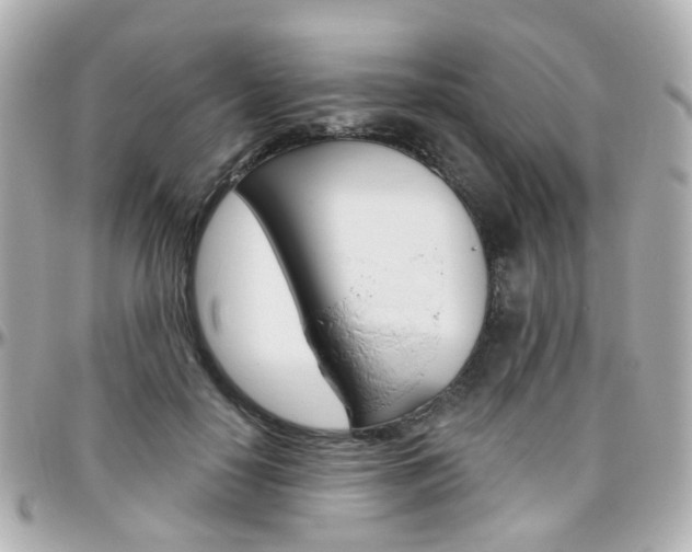 X0000096410650200801241026