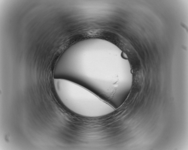 X0000096410651200801241026