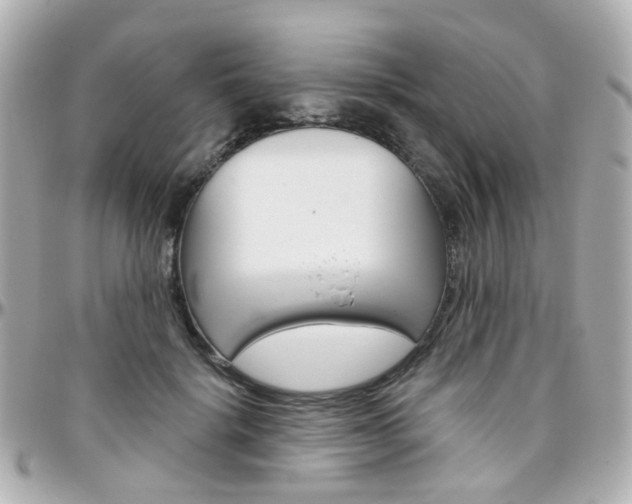 X0000096410652200801241026