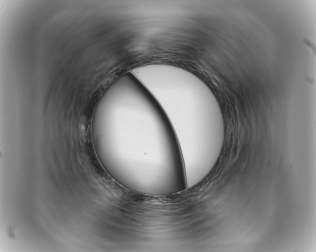 X0000096410655200801241026