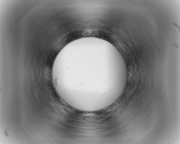 X0000096410659200801241026