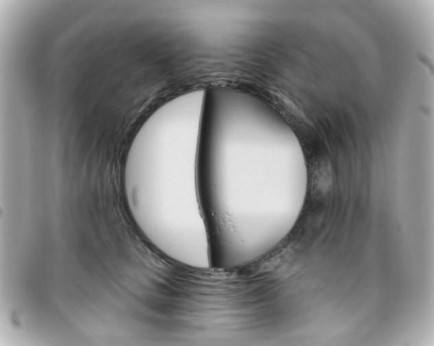 X0000096410661200801241026